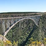 Bloukrans Bridge
